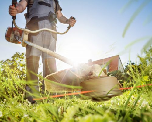 Gardening,With,A,Brushcutter